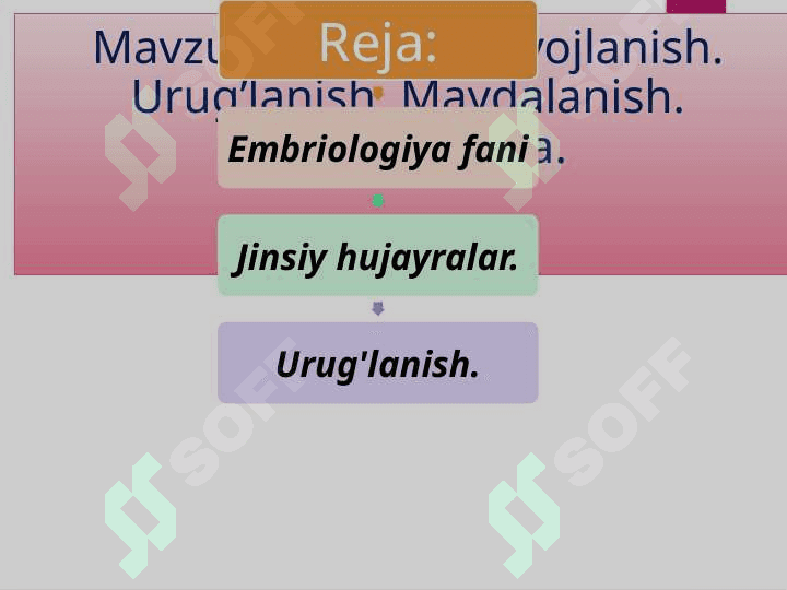 Embrional rivojlanish. Urug’lanish. Maydalanish. Gastrulyatsiya. 2