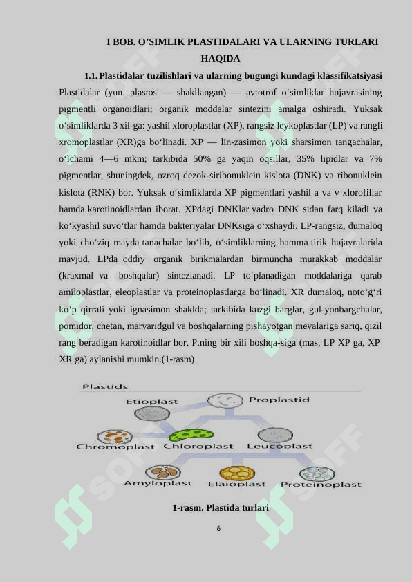 O’SIMLIK PLASTIDALARI VA ULARNING TURLARI 6