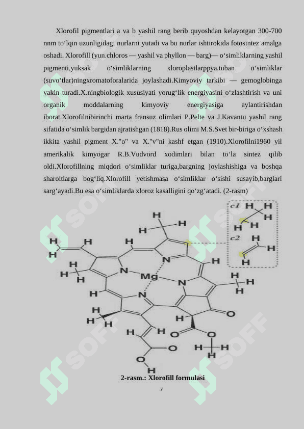 O’SIMLIK PLASTIDALARI VA ULARNING TURLARI 7
