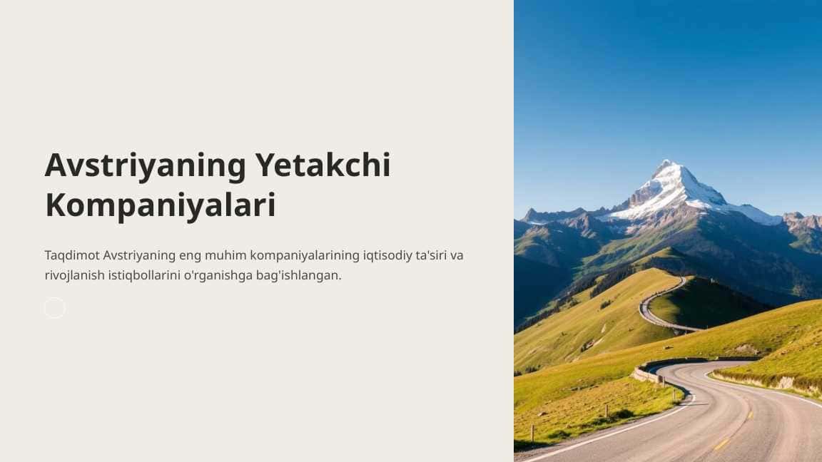 Avstriyaning Yetakchi Kompaniyalari pptx 1