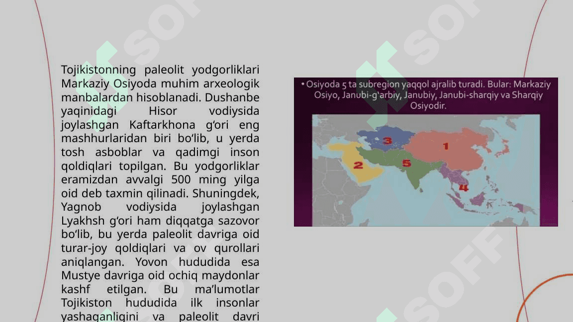 Janubiy Osiyo paleoliti 4