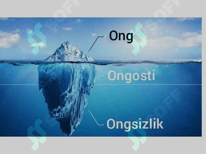 Ong tuzilmasi haqida tushuncha 3