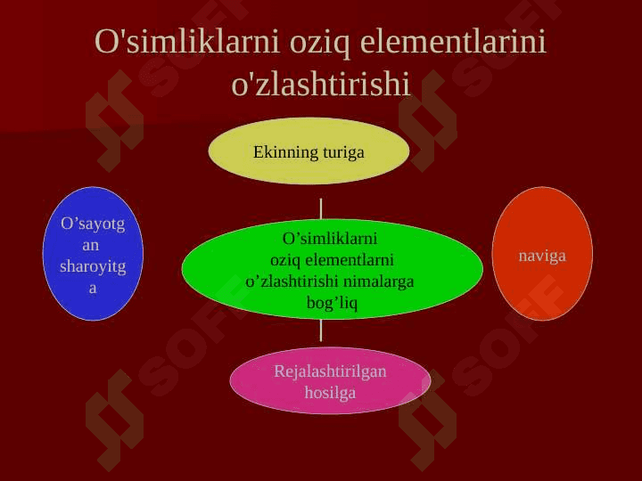 mavzu: Tuproqning oziq rejimi va uni boshqarish usullari 4