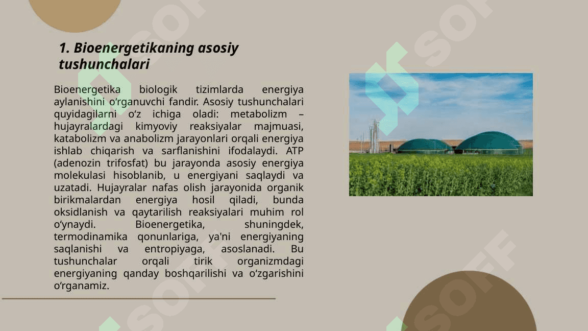 Bioenergetikaning  tibbiyotda  ahamiyati 3