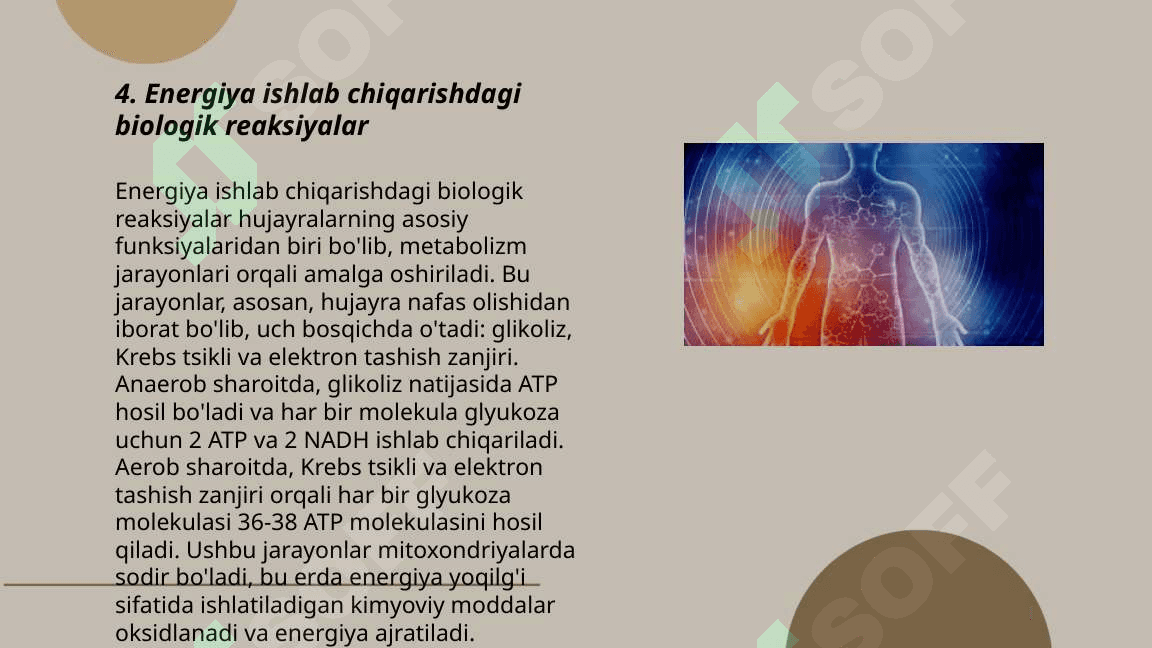 Bioenergetikaning  tibbiyotda  ahamiyati 6