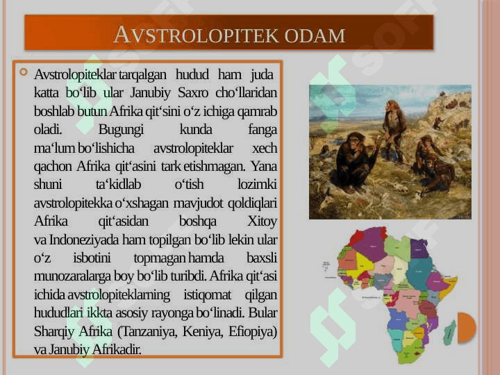 : Avstrolopitek, kramanyon, sinantrop, petikantrop, neandertal odamlar. 3