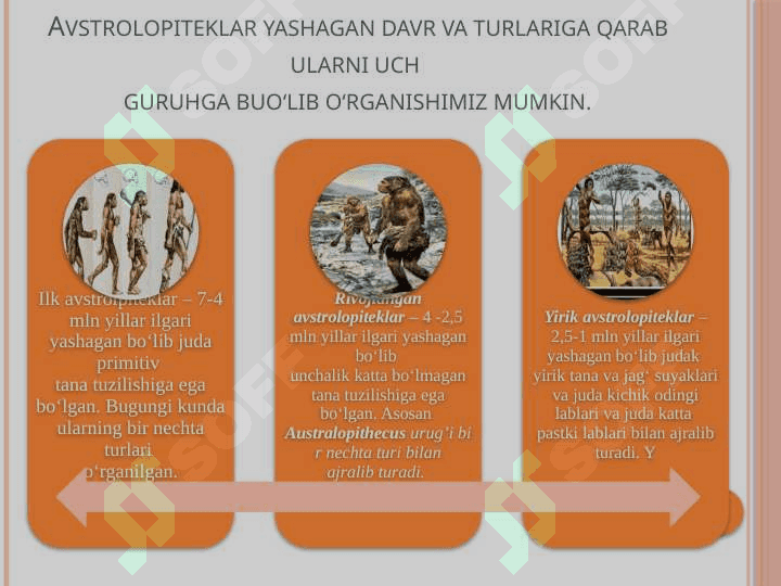 : Avstrolopitek, kramanyon, sinantrop, petikantrop, neandertal odamlar. 4