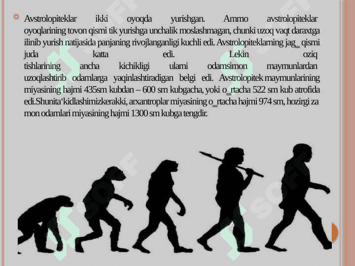 : Avstrolopitek, kramanyon, sinantrop, petikantrop, neandertal odamlar. 5
