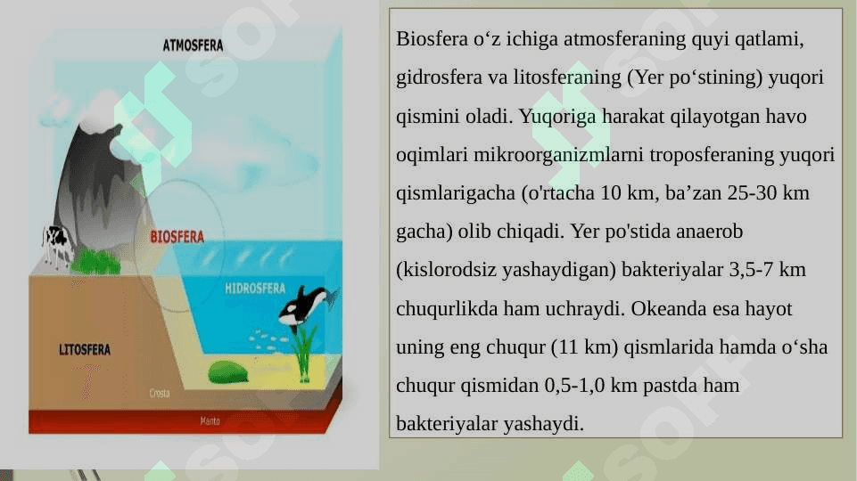 Biosfera haqida tushuncha. Vernadskiy ta’limoti, noosfera 4