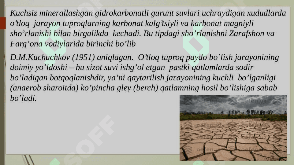 Gidromorf o‘tloqi tuproqlar 6