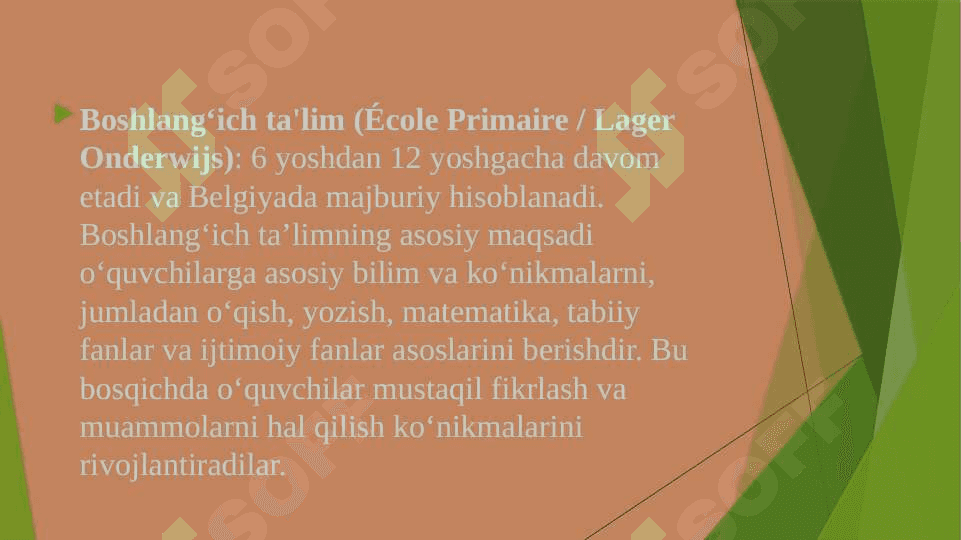 Belgiya boshlang‘ich ta’lim tizimi. Ta’lim tizimi bosqichlari. Belgiya boshlang‘ich ta’lim tizimi. 4