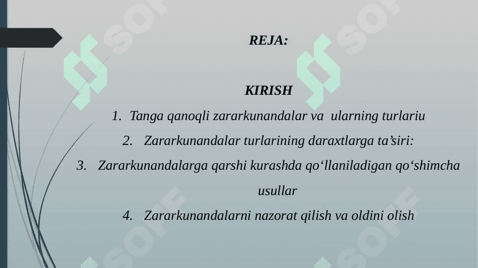 O‘rmon va manzarali daraxtlarda uchraydigan tanga qanoqli zararkunandalari bilan tanishish 2