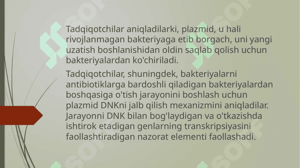 Bakteriyalarning antibiotiklarga chidamli variantlarini paydo bo’lish mexanizmlari, ularni aniqlash usullari 4