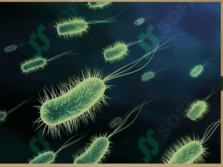 Mikroorganizmlar fiziologiyasi 7