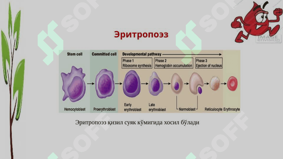 Анемия 7