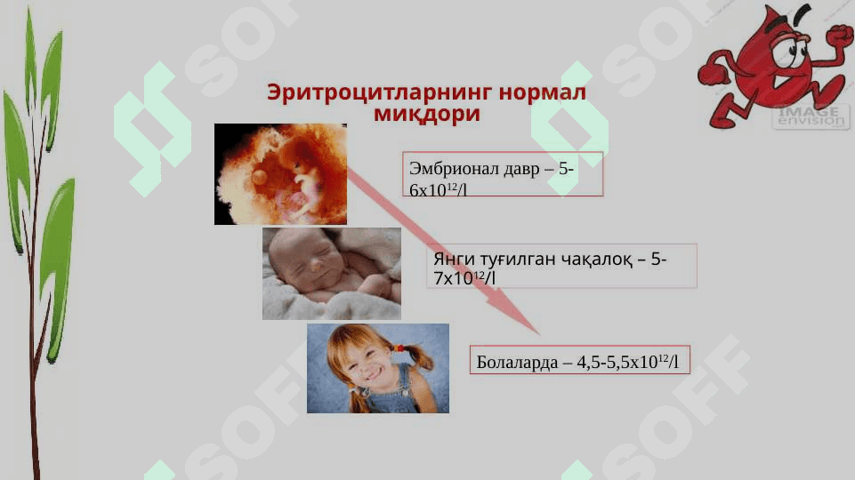 Анемия 8