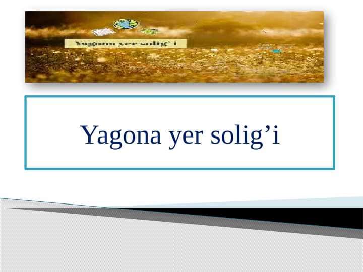 Yagona yer solig’i