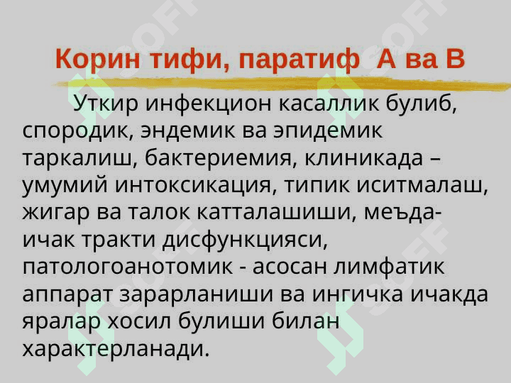 Ич терлама – қорин тифи 3