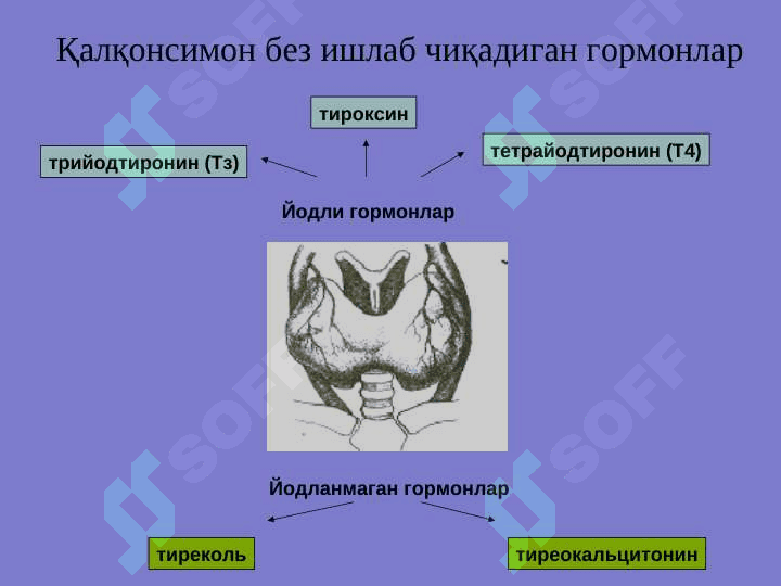 ҚАЛҚОНСИМОН  БЕЗ КАСАЛЛИКЛАРИ 5