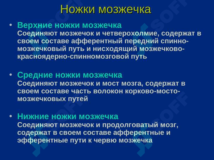 Мозжечок 6