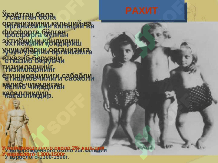Суяк-мушак тизимининг АФХ.РАХИТ 3
