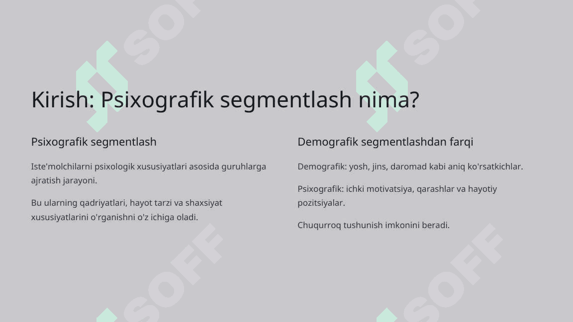 Brendingda iste'molchilarni psixografik omillar bo'yicha segmentlash 2