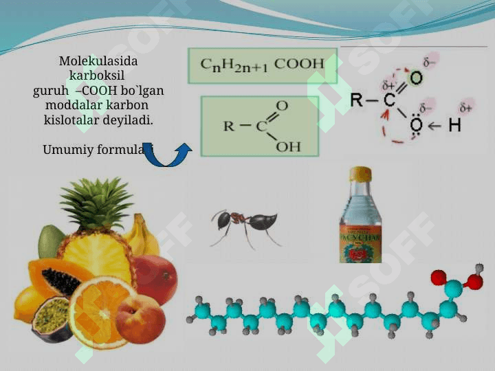 To'yingan bir atomli karbon kislatalar 5