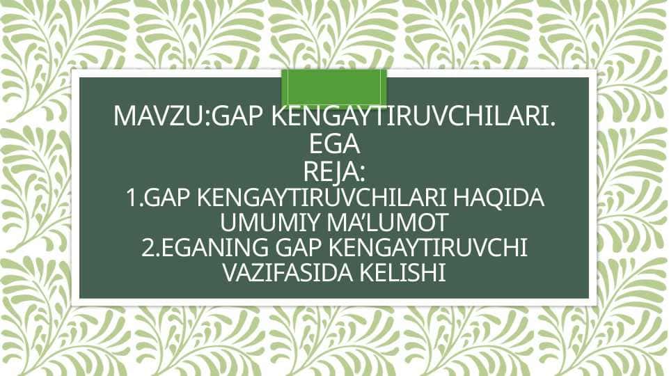 gap kengaytiruvchilari. ega 1