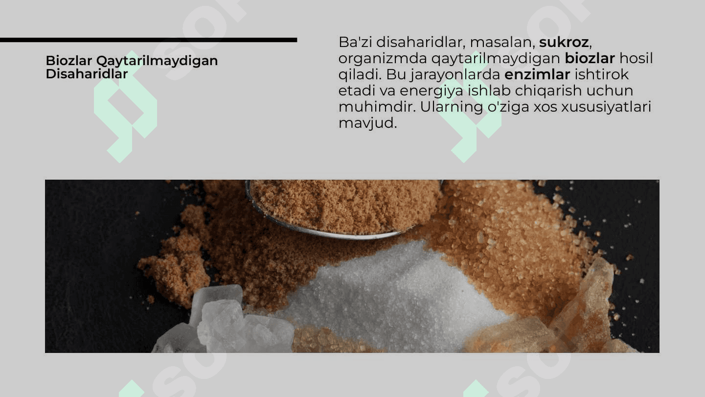 Disaharidlar, biozlar qaytarilmaydigan, qaytariladigan (maltoza disaharidlar) 4