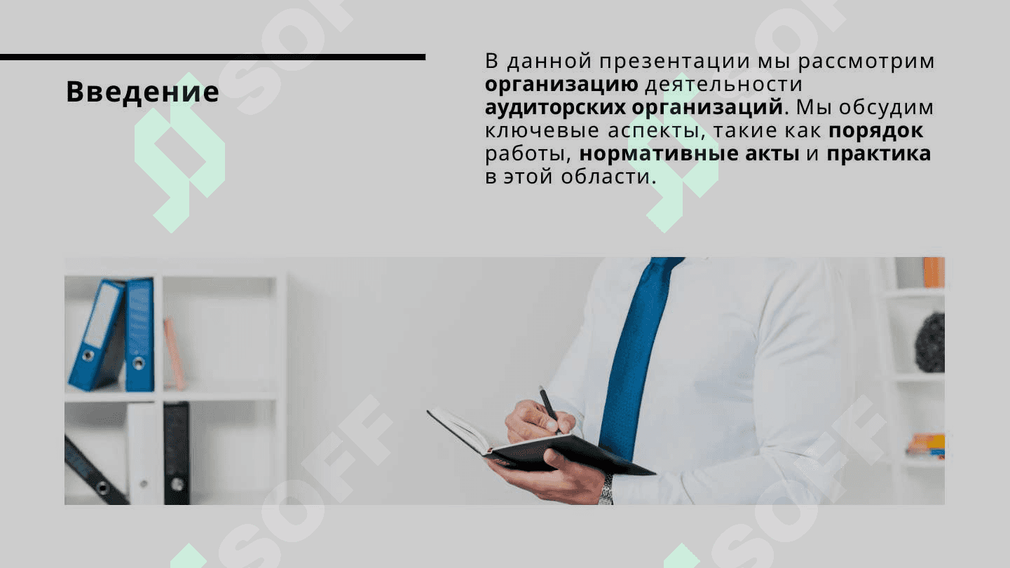 Порядок организации деятельности аудиторских организаций. 2