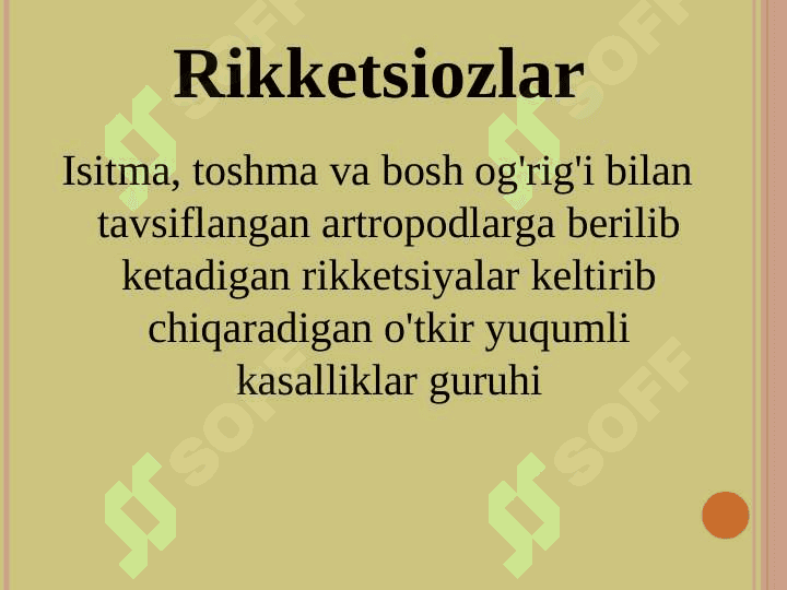Rikketsiozlar, toshmali tif, Ku- isitmasi 2