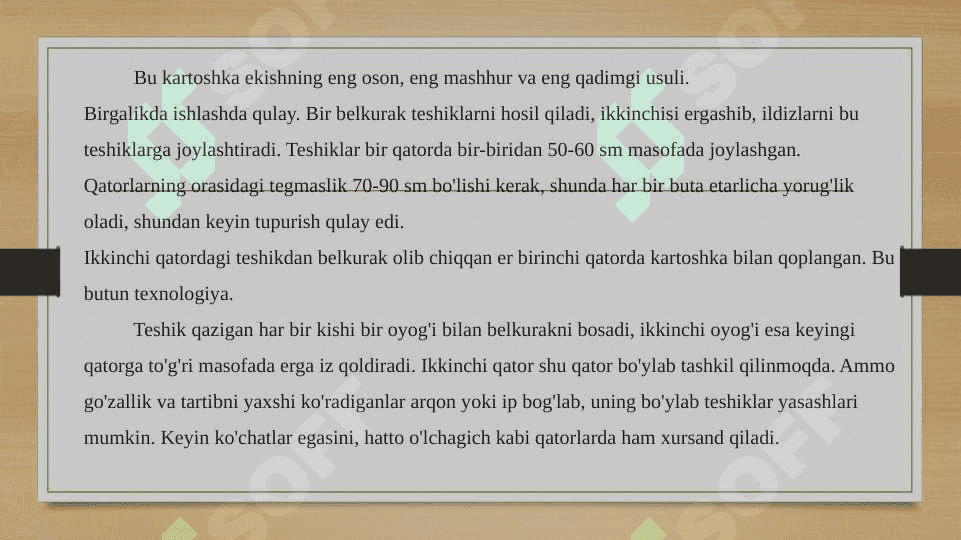 Kartoshkani ekish muddatlari chuqurligi va oziqlanish maydoni 4