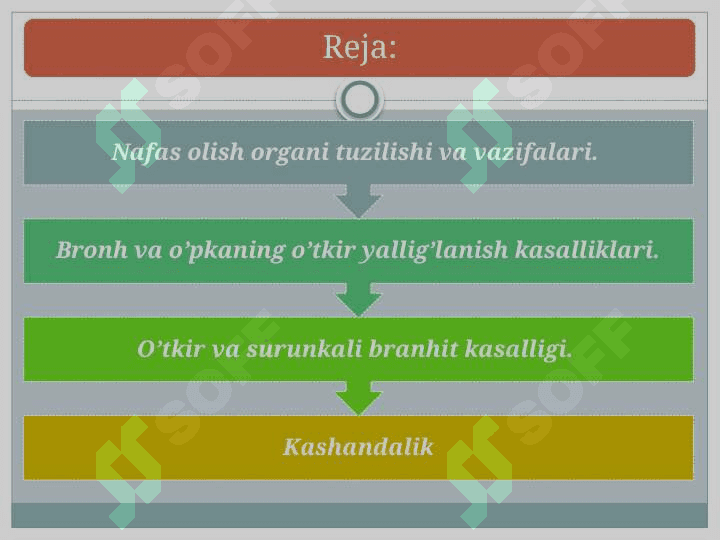 Nafas olish azolari kasalliklari 2