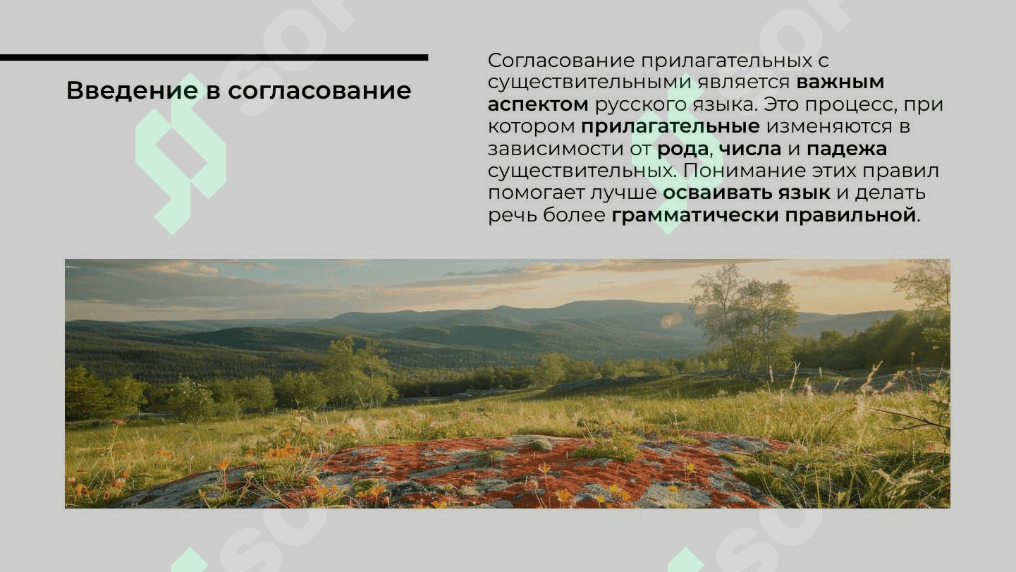 Природа. Времена года. Согласование прилагательных с существительными в роде 2