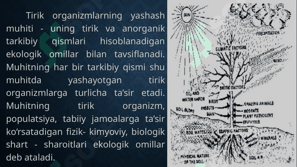 Muhit omillari va ularning tirik organizlarga ta’siri 2