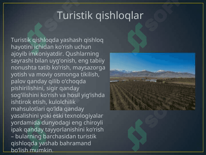 EKSTRIMAL TURIZM VA TURIZMDAGI AHAMIYATI:O`ZBEKISTON MISOLIDA 4