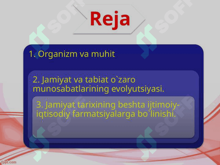 Organizm 2