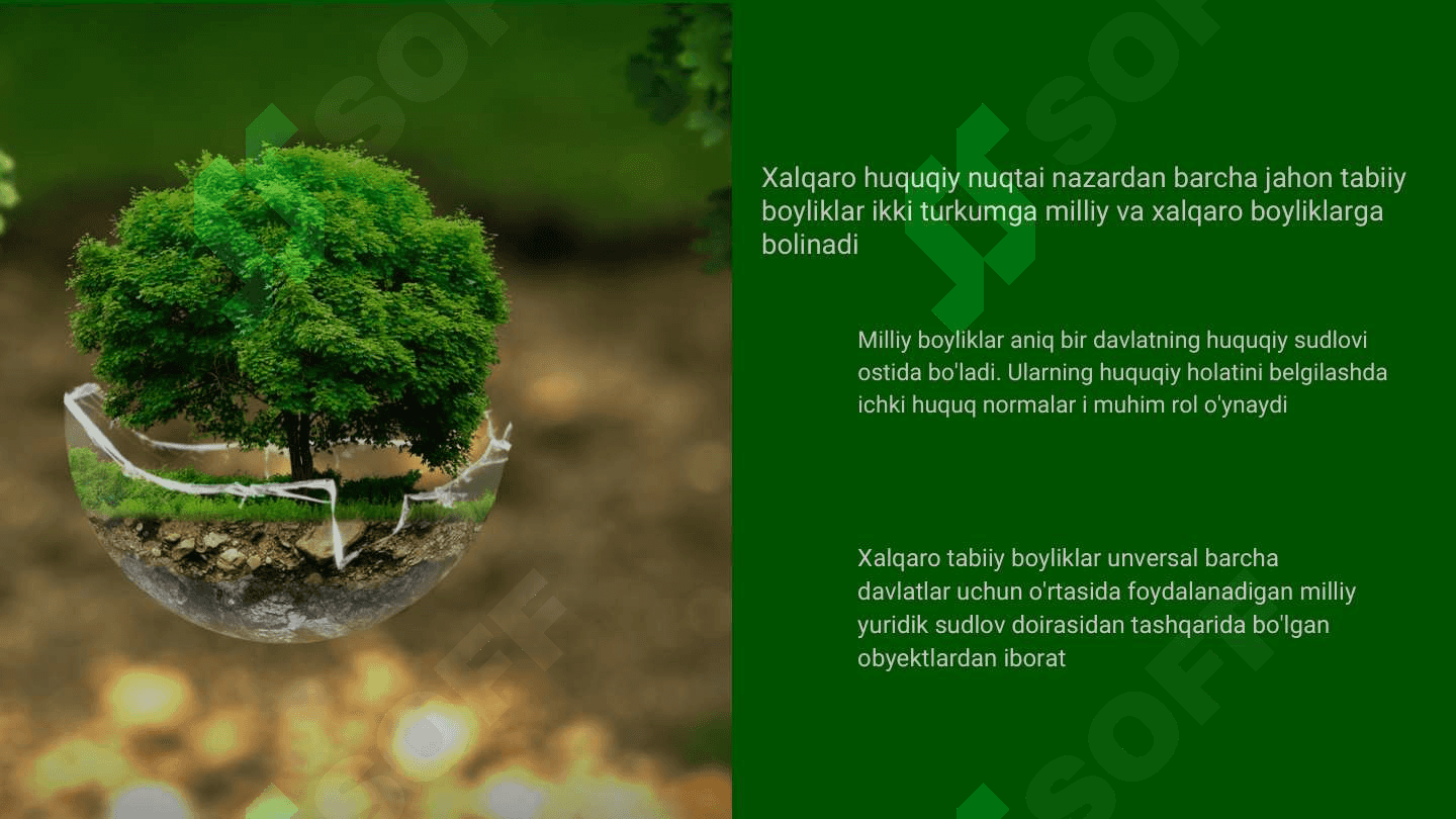 EKOLOGIYA HUQUQI 6