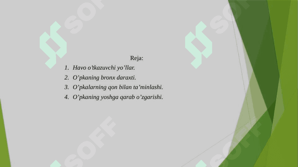 NAFAS OLISH TIZIMI 2