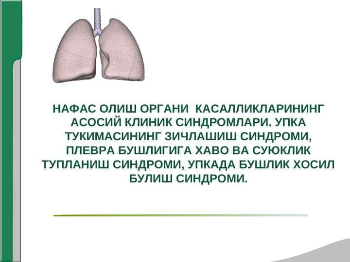 НАФАС ОЛИШ ОРГАНИ  КАСАЛЛИКЛАРИНИНГ АСОСИЙ КЛИНИК СИНДРОМЛАРИ. УПКА ТУКИМАСИНИНГ ЗИЧЛАШИШ СИНДРОМИ, ПЛЕВРА БУШЛИГИГА ХАВО ВА СУЮКЛИК ТУПЛАНИШ СИНДРОМИ, УПКАДА БУШЛИК ХОСИЛ БУЛИШ СИНДРОМИ.