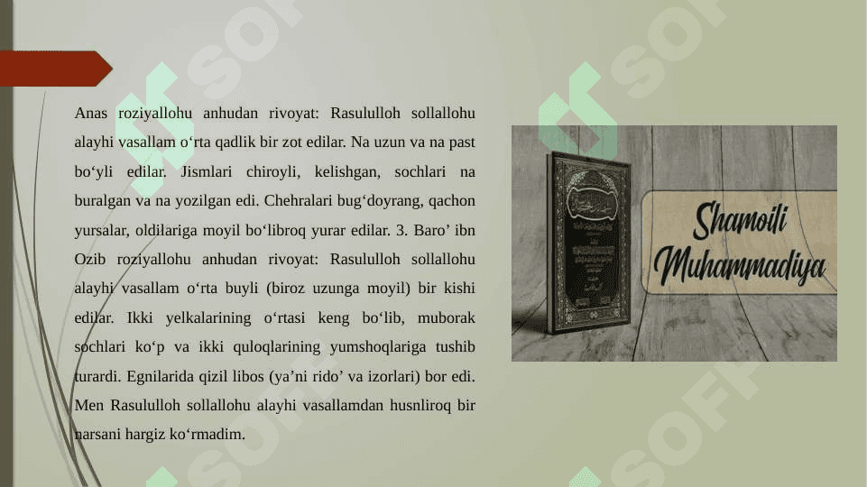 Shamoli Muhammadiya asari 3
