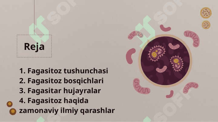 Fagasitoz 2