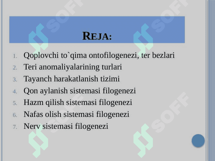 Odam a’zolarining onto-filogenezi 2