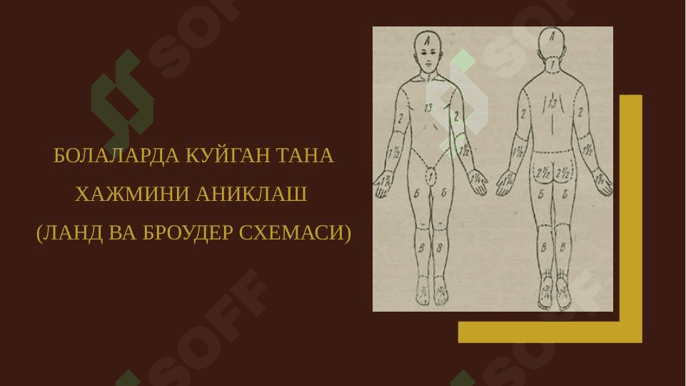 KUYISH KLINIKASI,DIAGNOSTIKASI VA SHOSHILINCH YORDAM - КУЙИШ КЛИНИКАСИ,ДИАГНОСТИКАСИ ВА ШОШИЛИНЧ ЁРДАМ 7