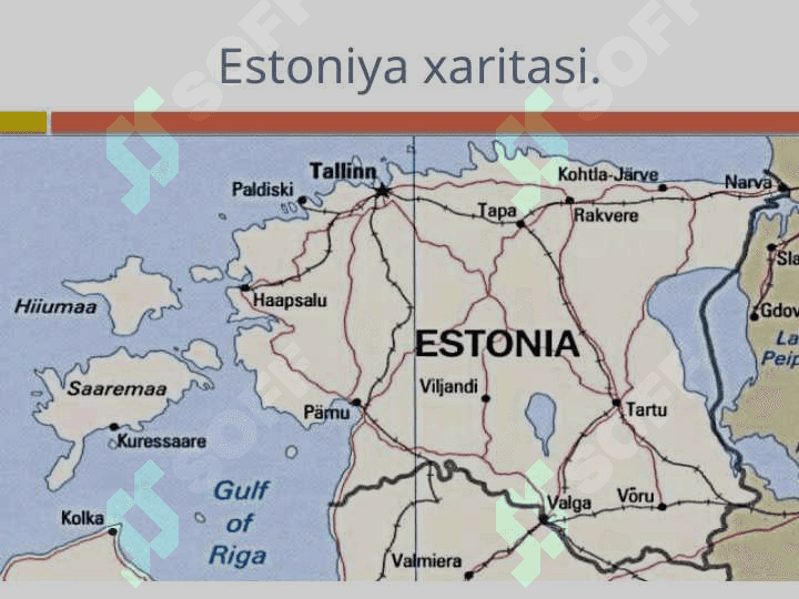 Estoniya Konstitutsiyasi 2