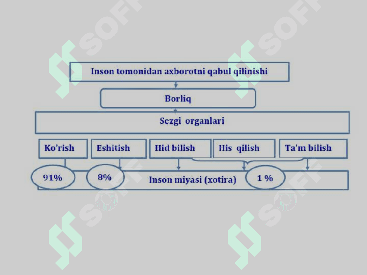 Axborot texnologiyalarning infratuzilmasi 6