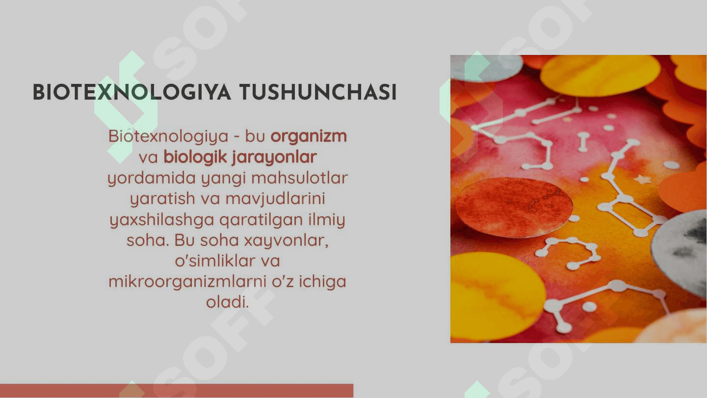 Xayvon xujayralari bio texnologiyasi 3