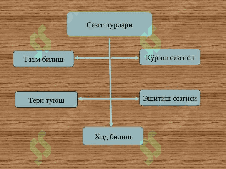 Билиш жараёнлари ва унинг босқичлари 4