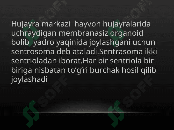 Hujayraning membranasiz organoidlari, ularning funksiyasi va ahamiyati 8
