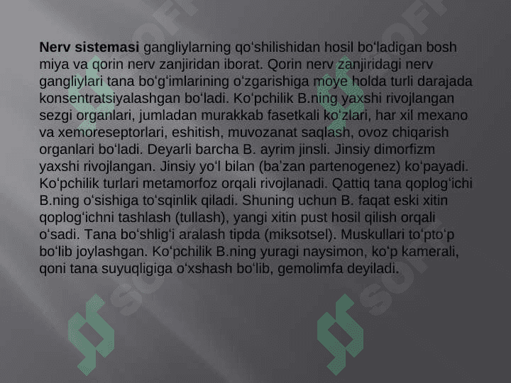BO‘QIMOYOQLILARNING KENG TARQALISH SABABLARI 4